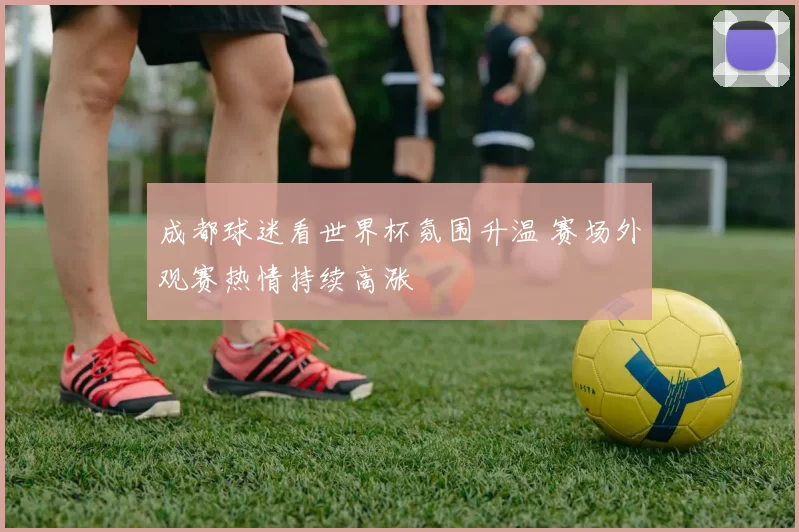 成都球迷看世界杯氛围升温 赛场外观赛热情持续高涨