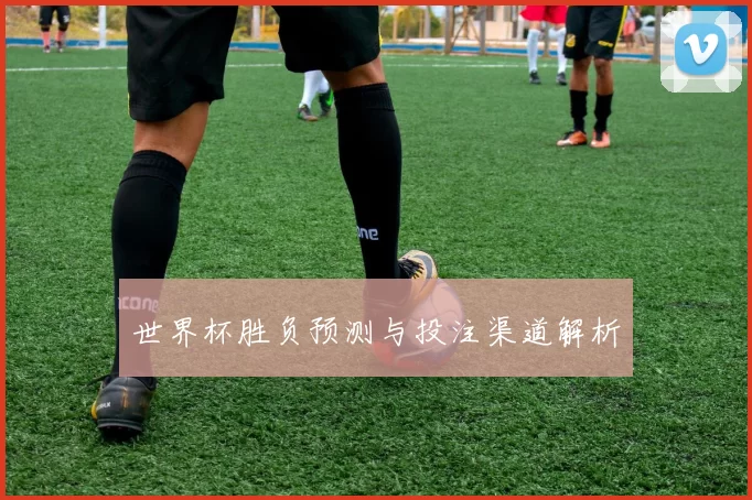 世界杯胜负预测与投注渠道解析