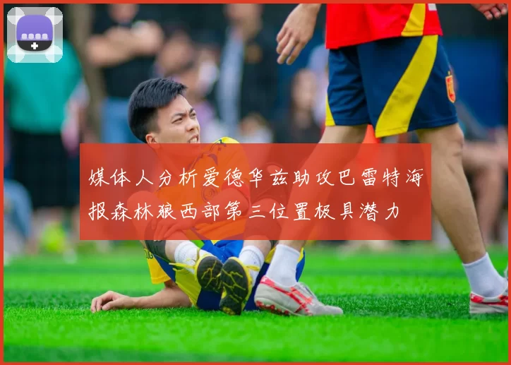 媒体人分析爱德华兹助攻巴雷特海报森林狼西部第三位置极具潜力