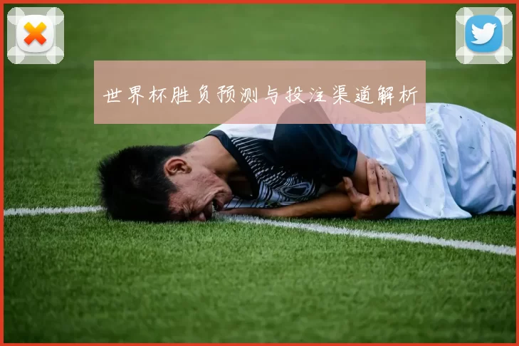 世界杯胜负预测与投注渠道解析