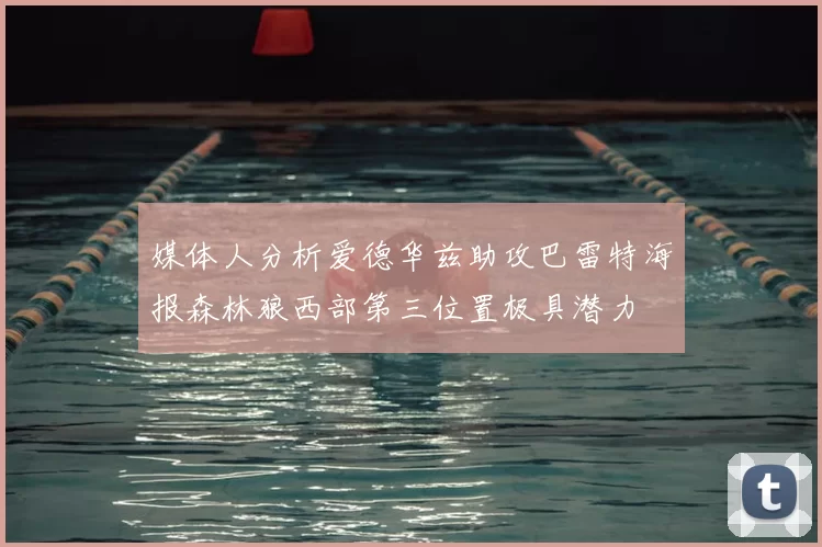 媒体人分析爱德华兹助攻巴雷特海报森林狼西部第三位置极具潜力