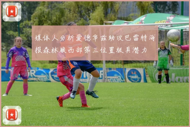 媒体人分析爱德华兹助攻巴雷特海报森林狼西部第三位置极具潜力