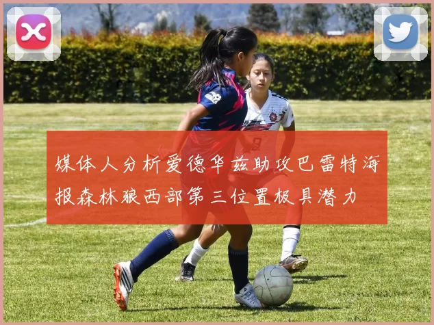 媒体人分析爱德华兹助攻巴雷特海报森林狼西部第三位置极具潜力