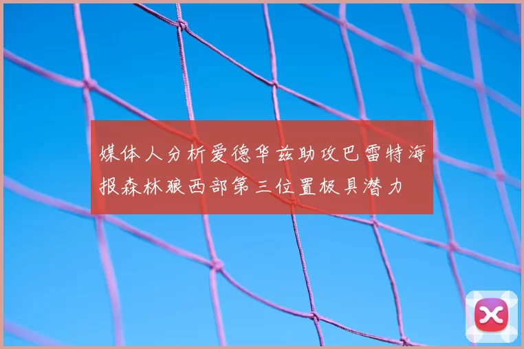 媒体人分析爱德华兹助攻巴雷特海报森林狼西部第三位置极具潜力