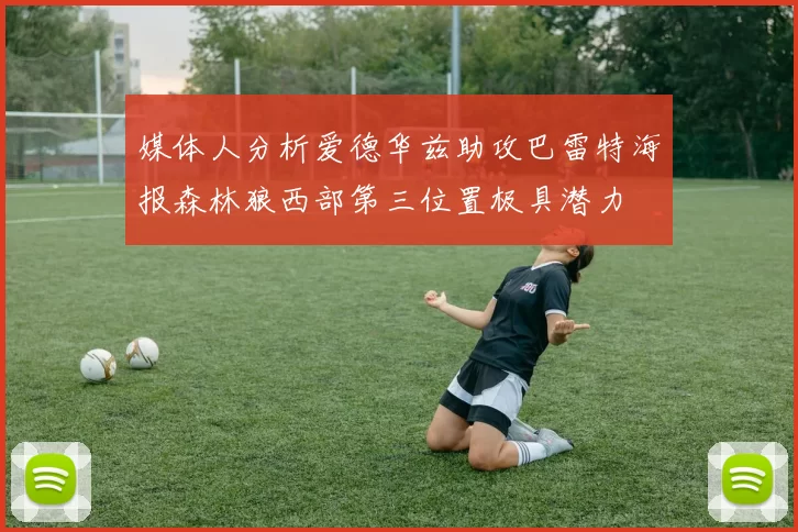 媒体人分析爱德华兹助攻巴雷特海报森林狼西部第三位置极具潜力