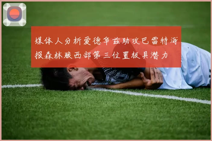 媒体人分析爱德华兹助攻巴雷特海报森林狼西部第三位置极具潜力