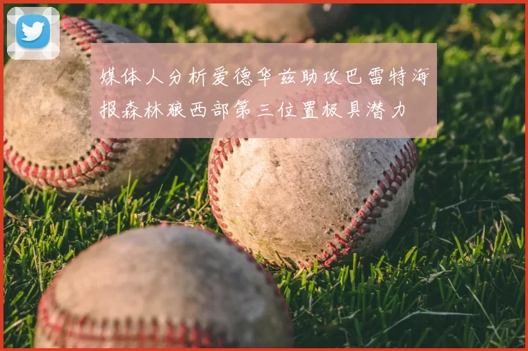 媒体人分析爱德华兹助攻巴雷特海报森林狼西部第三位置极具潜力