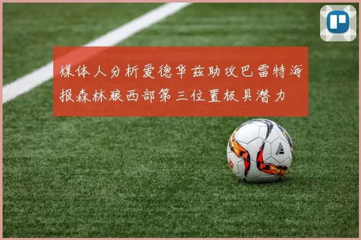 媒体人分析爱德华兹助攻巴雷特海报森林狼西部第三位置极具潜力