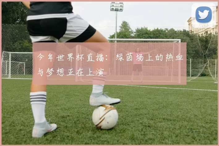 今年世界杯直播：绿茵场上的热血与梦想正在上演