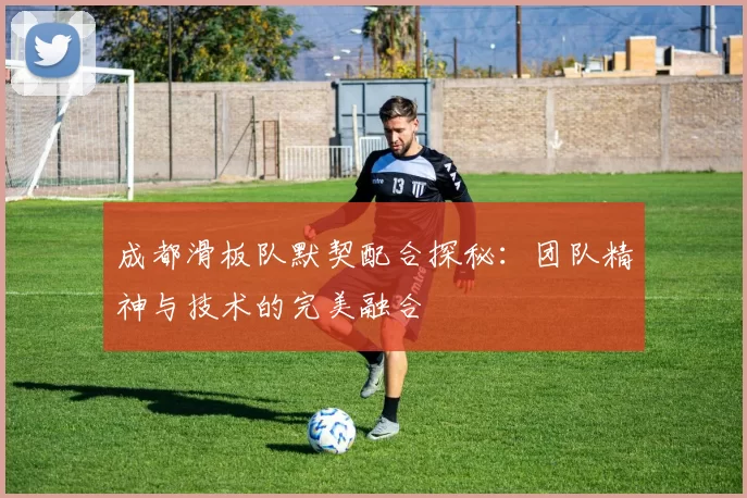 成都滑板队默契配合探秘：团队精神与技术的完美融合