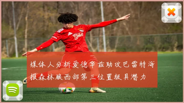 媒体人分析爱德华兹助攻巴雷特海报森林狼西部第三位置极具潜力