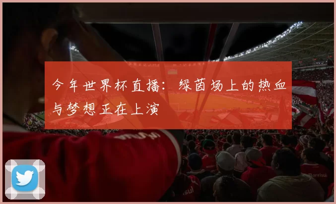 今年世界杯直播：绿茵场上的热血与梦想正在上演