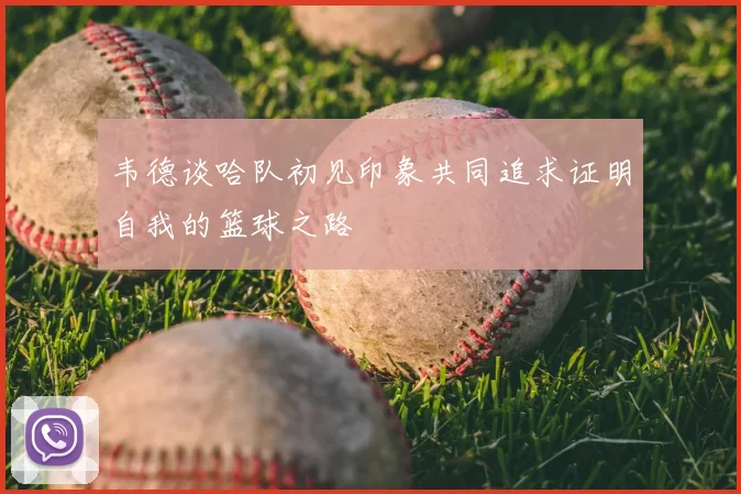 韦德谈哈队初见印象共同追求证明自我的篮球之路