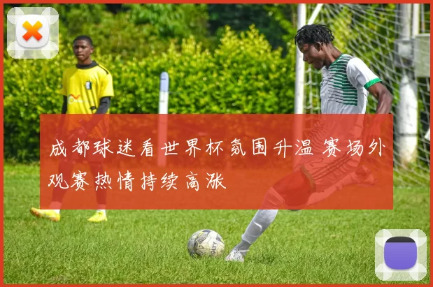 成都球迷看世界杯氛围升温 赛场外观赛热情持续高涨