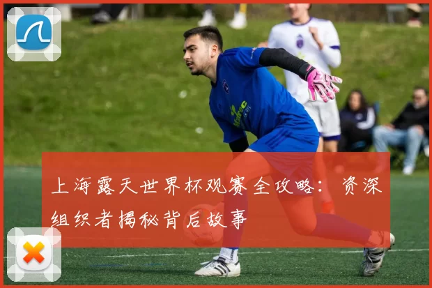 上海露天世界杯观赛全攻略：资深组织者揭秘背后故事