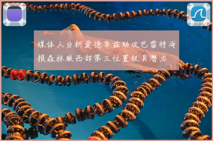 媒体人分析爱德华兹助攻巴雷特海报森林狼西部第三位置极具潜力