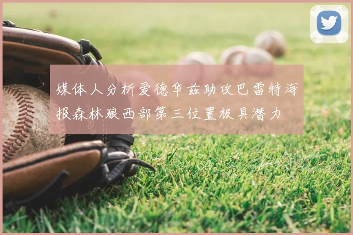 媒体人分析爱德华兹助攻巴雷特海报森林狼西部第三位置极具潜力