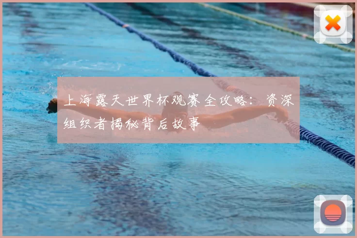 上海露天世界杯观赛全攻略：资深组织者揭秘背后故事