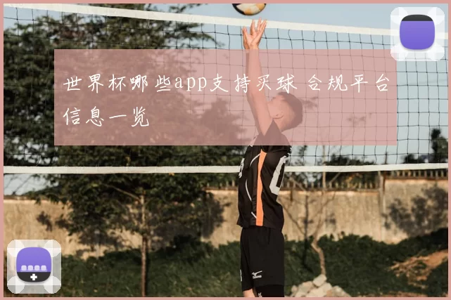 世界杯哪些app支持买球 合规平台信息一览